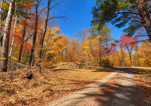 Land for sale at Tbd Red Oak Ln, Stone Lake, WI 54876 | MLS# 7058211