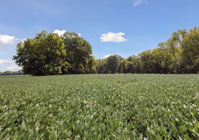 Photo 4 of Land for sale at 24x2 Holy Name Dr, Medina, MN 55340 | MLS# 7058753 | Listing updated on 2026-08-06