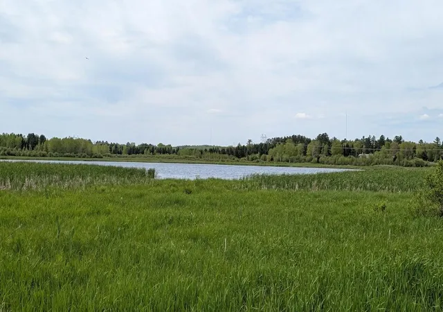 Photo 2 of Land for sale at Tdb County Rd 453, Bovey, MN 55709 | MLS# 7058881 | Listing updated on 2026-06-17