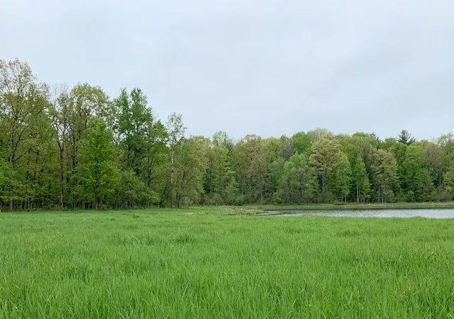 Photo 3 of Land for sale at Tdb County Rd 453, Bovey, MN 55709 | MLS# 7058881 | Listing updated on 2026-06-17