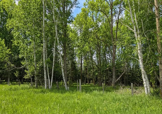 Photo 4 of Land for sale at Tdb County Rd 453, Bovey, MN 55709 | MLS# 7058881 | Listing updated on 2026-06-17