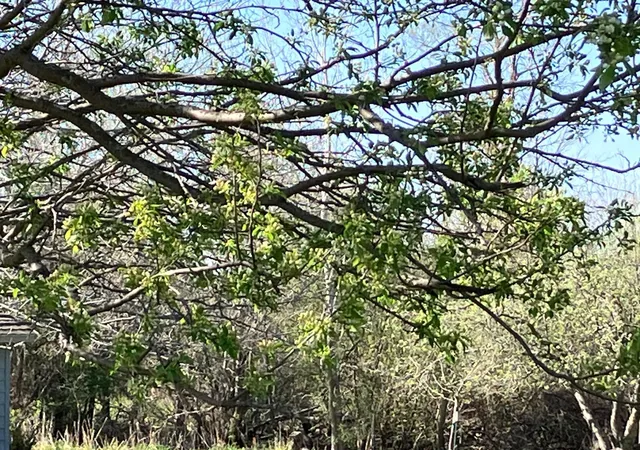 Photo 3 of Land for sale at 1804 Northbrook Pl, Owatonna, MN 55060 | MLS# 7059226 | Listing updated on 2026-06-12