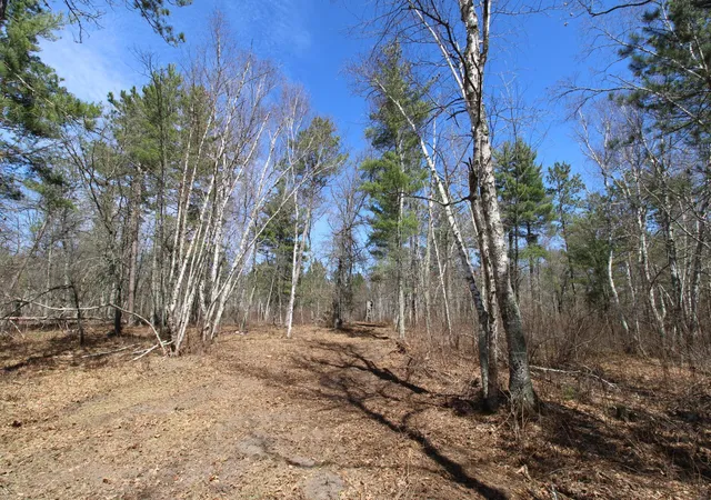 17th image of 37441 Darsnek Rd, Emily, MN 56447 | MLS# 7059452