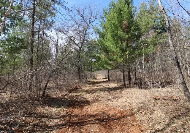 1st image of 37441 Darsnek Rd, Emily, MN 56447 | MLS# 7059452