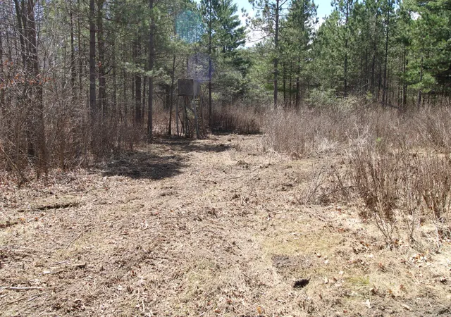 2nd image of 37441 Darsnek Rd, Emily, MN 56447 | MLS# 7059452