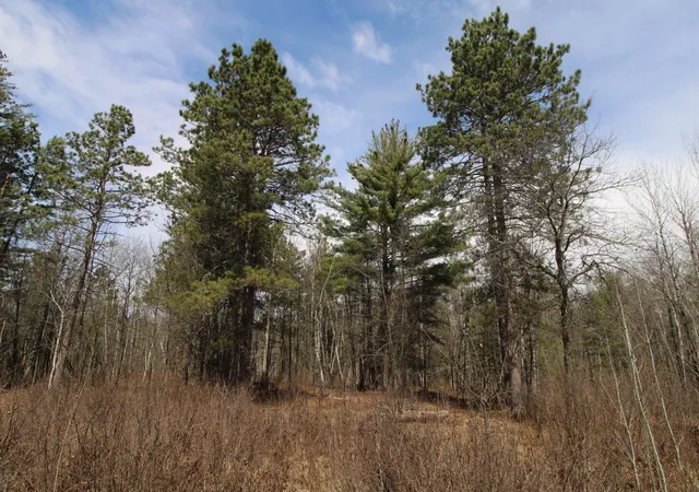 4th image of 37441 Darsnek Rd, Emily, MN 56447 | MLS# 7059452