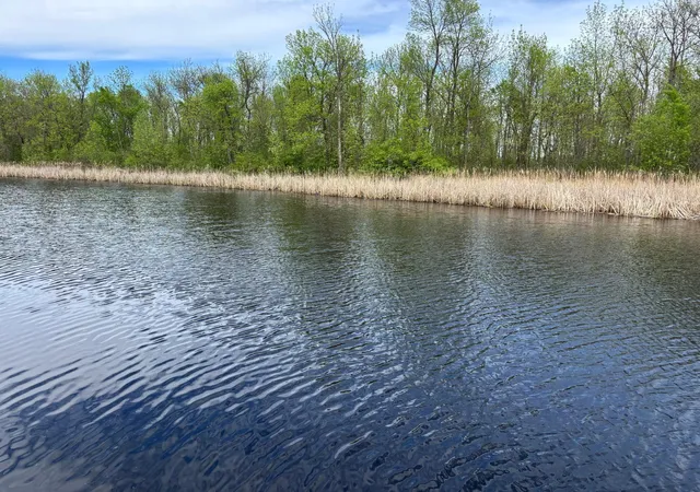 5th image of 54654 Hwy 72 Ne, Waskish, MN 56685 | MLS# 7059951