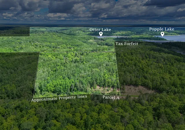 Homes for sale in Effie, MN | Tbd "lot A" Co Rd 533, Effie, MN 56639 | MLS# 7060650