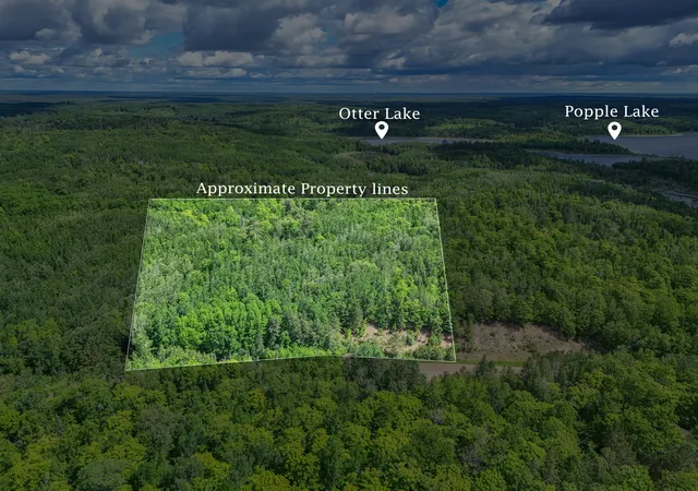 Homes for sale in Effie, MN | Tbd "lot A" Co Rd 533, Effie, MN 56639 | MLS# 7060650