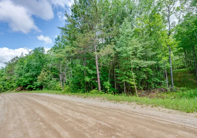 Homes for sale in Effie, MN | Tbd "Lot A" Co Rd 533, Effie, MN 56639 | MLS# 7060650