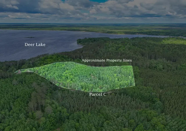Homes for sale in Effie, MN | Tbd "lot C" County Road 533, Effie, MN 56639 | MLS# 7060665
