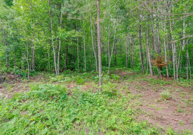 Homes for sale in Effie, MN | Tbd "Lot C" County Road 533, Effie, MN 56639 | MLS# 7060665