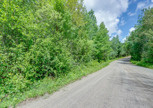 Homes for sale in Effie, MN | Tbd "Lot C" County Road 533, Effie, MN 56639 | MLS# 7060665