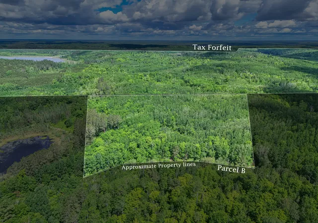 Homes for sale in Effie, MN | Tbd "lot B" Co Rd 533, Effie, MN 56639 | MLS# 7060889