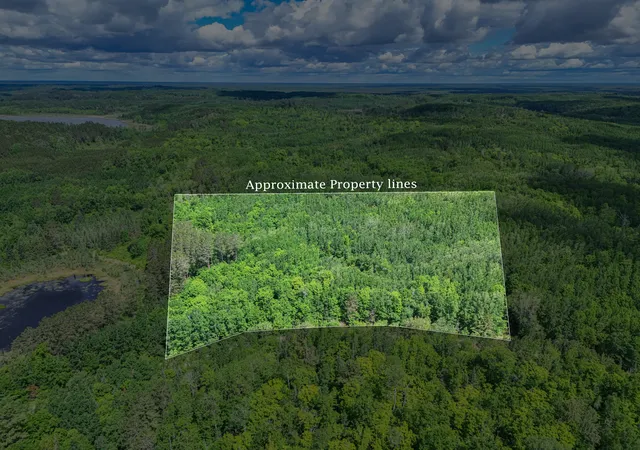 Homes for sale in Effie, MN | Tbd "lot B" Co Rd 533, Effie, MN 56639 | MLS# 7060889