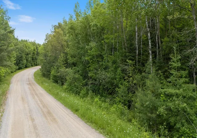 Homes for sale in Effie, MN | Tbd "Lot B" Co Rd 533, Effie, MN 56639 | MLS# 7060889