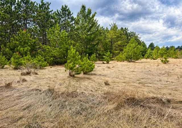 Homes for sale in Park Rapids, MN | Tbd 8th St W, Park Rapids, MN 56470 | MLS# 7061000