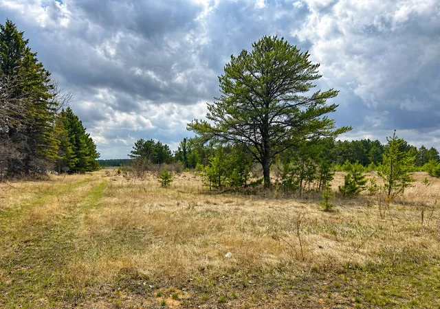 Homes for sale in Park Rapids, MN | Tbd 8Th St W, Park Rapids, MN 56470 | MLS# 7061000