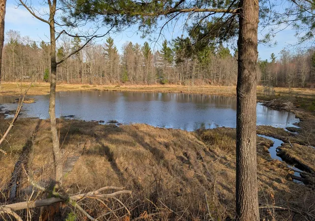 5th image of 29228 Honkers Hollow, Danbury, WI 54830 | MLS# 7061243