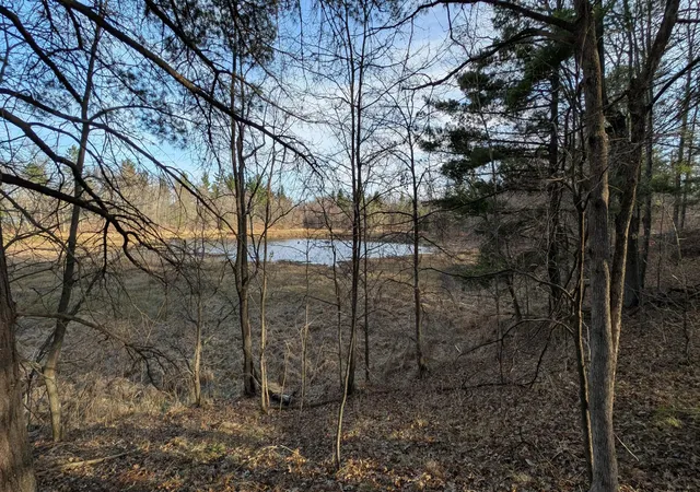 Homes for sale in Danbury, WI | Tbd Honkers Hollow, Danbury, WI 54830 | MLS# 7061258