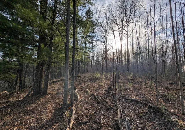 Homes for sale in Danbury, WI | Tbd Honkers Hollow, Danbury, WI 54830 | MLS# 7061258