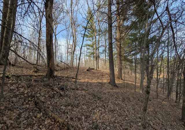 4th image of Tbd Honkers Hollow, Danbury, WI 54830 | MLS# 7061258