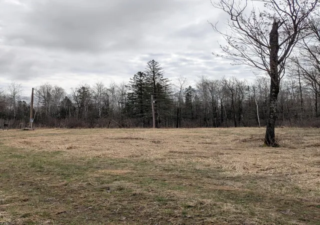 Homes for sale in Tamarack, MN | 1102 W County Line Rd, Tamarack, MN 55787 | MLS# 7061293