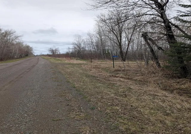 4th image of 1102 W County Line Rd, Tamarack, MN 55787 | MLS# 7061293