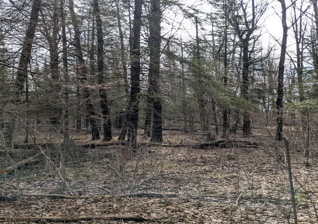 5th image of 1102 W County Line Rd, Tamarack, MN 55787 | MLS# 7061293