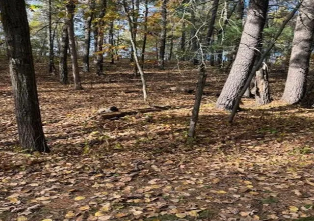 8th image of 1380 Little John Rd, Nisswa, MN 56468 | MLS# 7061333