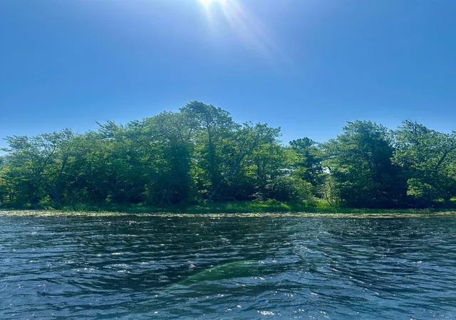 1st image of Lot 11 Opah's Dr, Aitkin, MN 56431 | MLS# 7061491