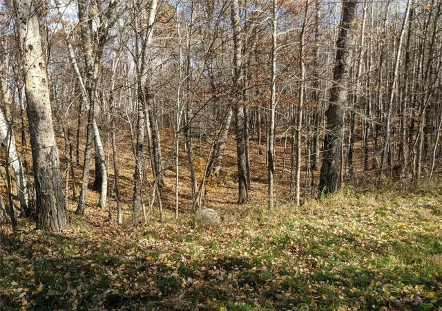 Photo 3 of Land for sale at L10 B17 Green Scene Dr, Breezy Point, MN 56472 | MLS# 7061600 | Listing updated on 2026-09-02