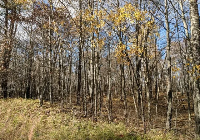 Photo 4 of Land for sale at L10 B17 Green Scene Dr, Breezy Point, MN 56472 | MLS# 7061600 | Listing updated on 2026-09-02