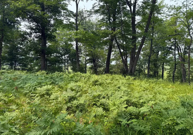Photo 2 of Land for sale at Xxx Mann Rd, Spooner, WI 54801 | MLS# 7061690 | Listing updated on 2026-07-24