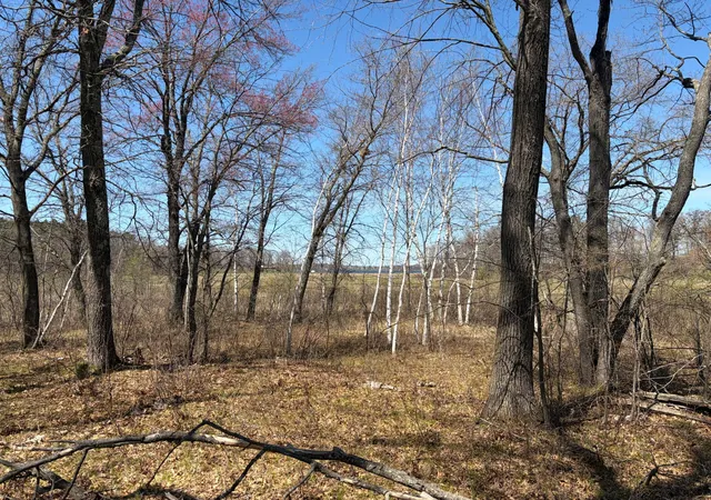 Photo 3 of Land for sale at Xxx Mann Rd, Spooner, WI 54801 | MLS# 7061690 | Listing updated on 2026-07-24