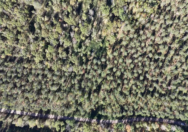 Photo 4 of Land for sale at Xxx Mann Rd, Spooner, WI 54801 | MLS# 7061690 | Listing updated on 2026-07-24