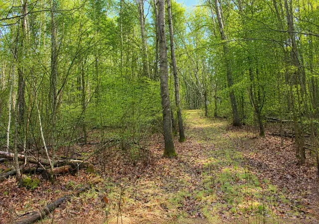 Photo 2 of Land for sale at Tbd 470th Street, Staples, MN 56479 | MLS# 7062379 | Listing updated on 2026-09-23