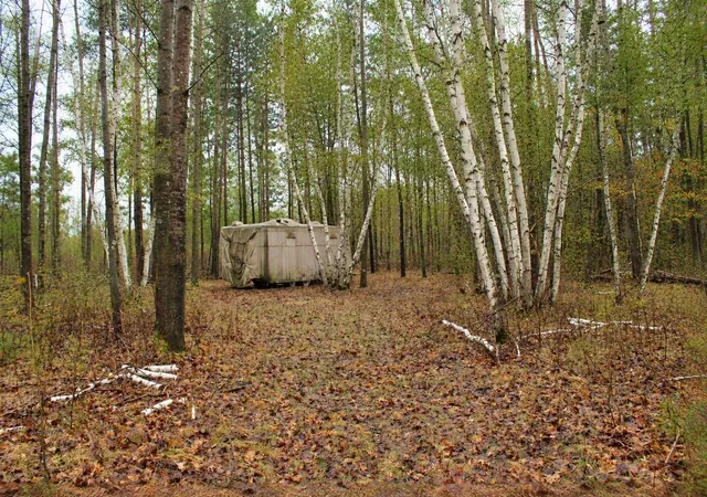 Photo 3 of Land for sale at Tbd 470th Street, Staples, MN 56479 | MLS# 7062379 | Listing updated on 2026-09-23