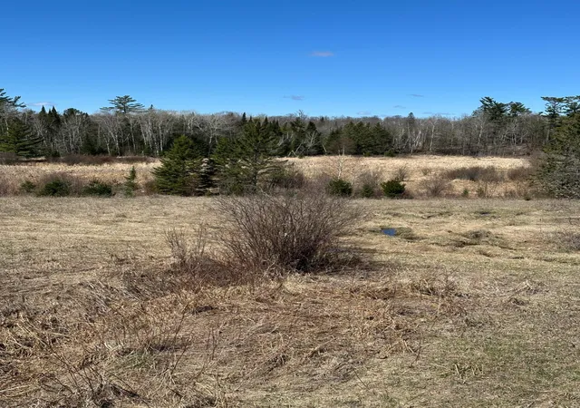 19th image of Tbd Ct 307, Blackduck, MN 56630 | MLS# 7062564