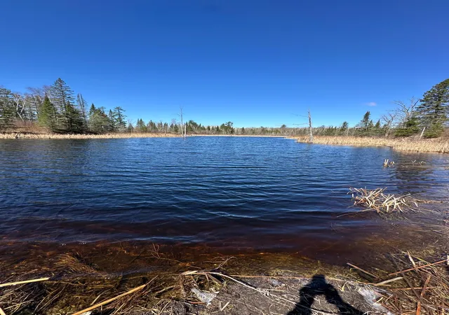 1st image of Tbd Ct 307, Blackduck, MN 56630 | MLS# 7062564
