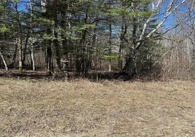 3rd image of Tbd Ct 307, Blackduck, MN 56630 | MLS# 7062564