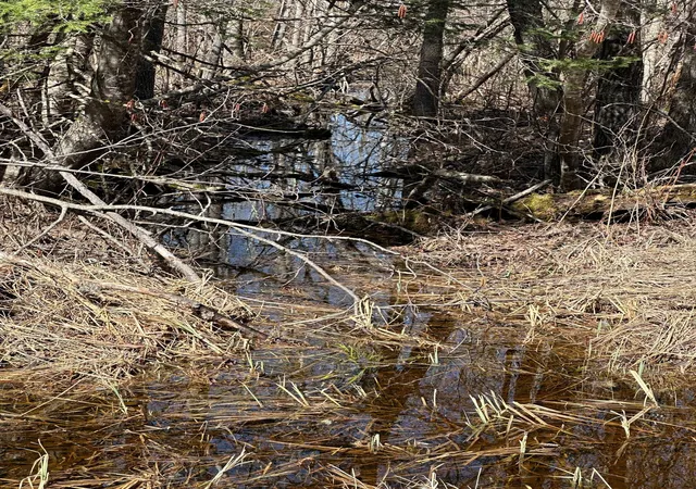4th image of Tbd Ct 307, Blackduck, MN 56630 | MLS# 7062564