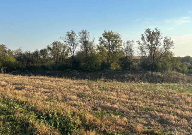 5th image of 241 6Th St Se, Dover, MN 55929 | MLS# 7062566