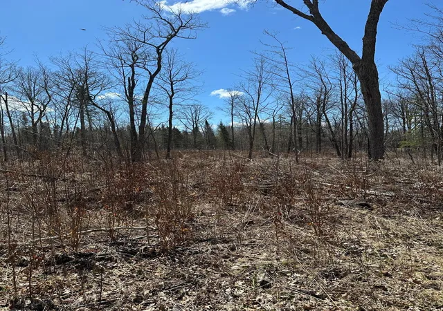 15th image of Tbd Ct Rd 307, Blackduck, MN 56630 | MLS# 7062623