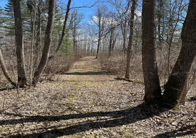 Photo 3 of Land for sale at Tbd Court Rd 307, Blackduck, MN 56630 | MLS# 7062623 | Listing updated on 2026-05-27