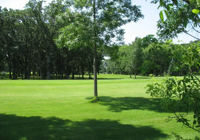 11th image of Lot 5 Bk 1 285th St, Battle Lake, MN 56515 | MLS# 7062946