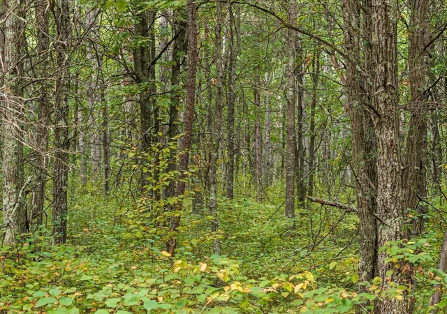 1st image of Lot C Sandbar Lane, Merrifield, MN 56465 | MLS# 7063114