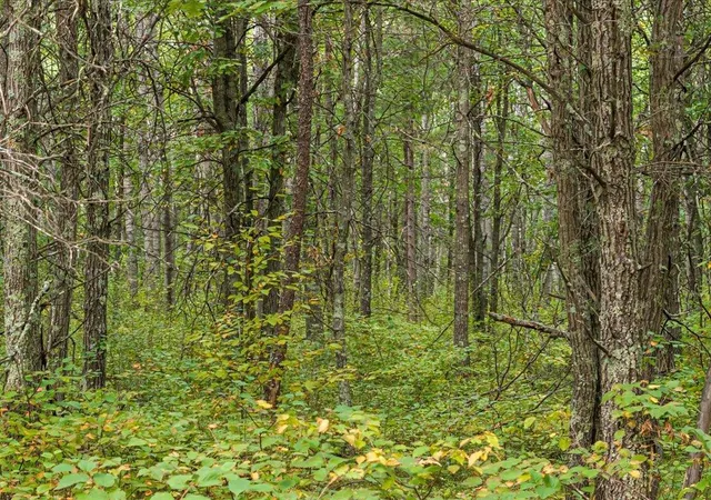 1st image of Lot E Sandbar Lane, Merrifield, MN 56465 | MLS# 7063137