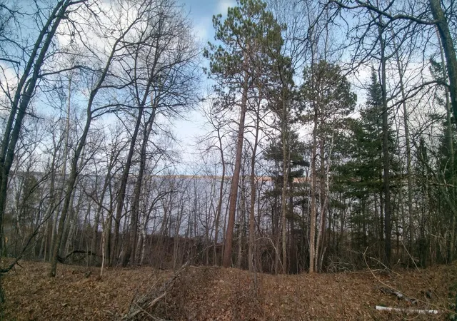 19th image of 50126 County 29, Bemidji, MN 56601 | MLS# 7063238