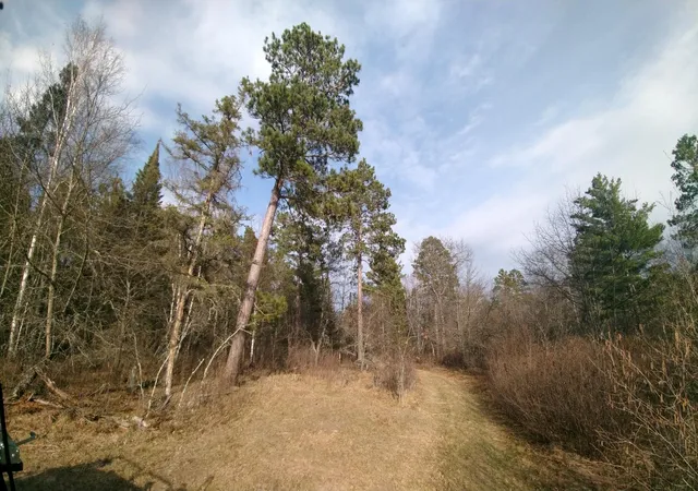 3rd image of 50126 County 29, Bemidji, MN 56601 | MLS# 7063238